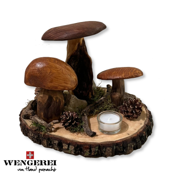 Pilz-Landschaft auf Holzscheibe (Variante C)